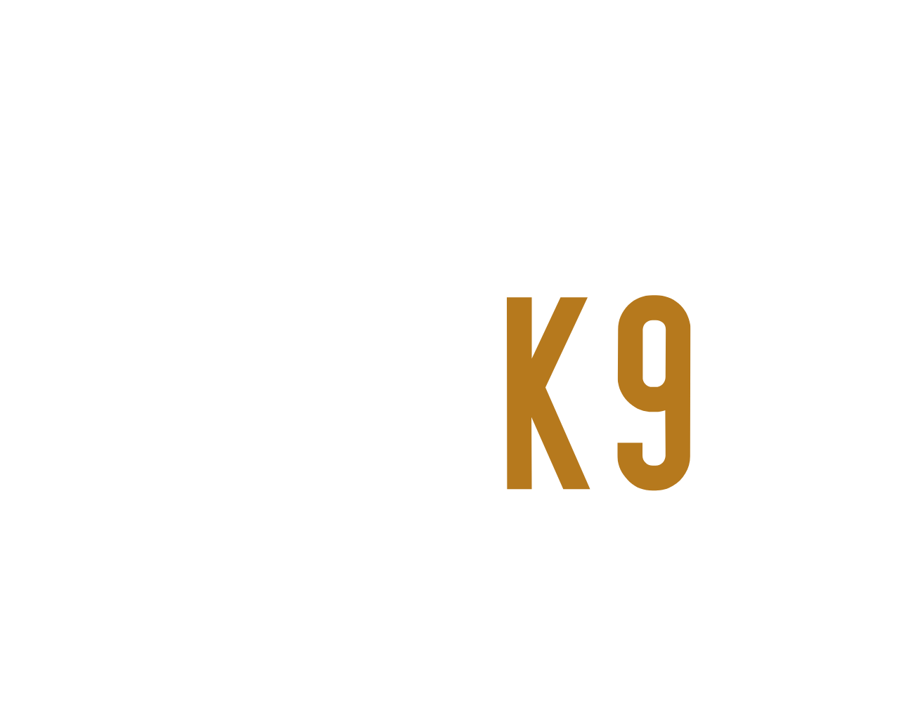 POSPA K9